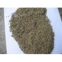 2015new Crop Good Quality Cumin Seed